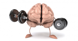 جوان سازی مغز با ورزش کردن
