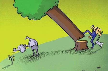 کاریکاتور قطع درختان