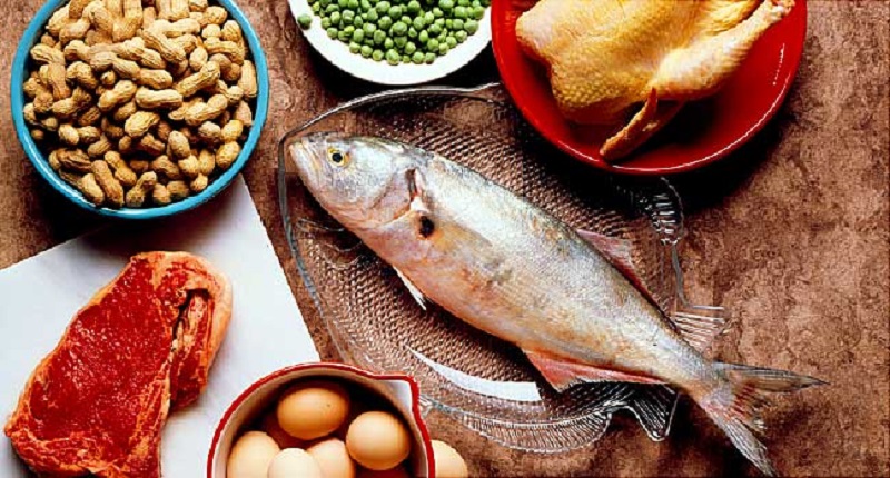 اهمیت حضور پروتئین در رژیم غذایی