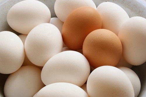پروتئین کم چرب برای بیماران شیمی درمانی