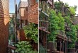 خانه سبز با گیاهان آپارتمانی | سلامت دات لایف راهنمای زندگی سالم