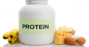 میزان پروتئین مورد نیاز بدن | سلامت دات لایف راهنمای زندگی سالم