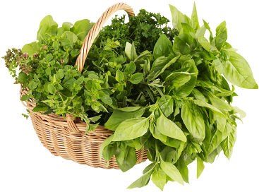 مصرف سبزیجات باعث کاهش ابتلا به آلزایمرمی شود