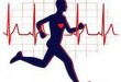 ورزش مفید برای قلب سلامت دات لایف