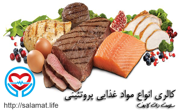 میزان کالری انواع مواد غذایی پروتئینی