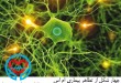 بیماری ام اس | سلامت دات لایف راهنمای زندگی سالم