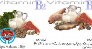 ویتامین B2 و B3 | سلامت دات لایف راهنمای زندگی سالم
