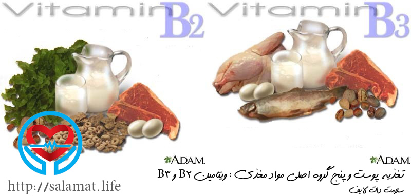 ویتامین B2 و B3 | سلامت دات لایف راهنمای زندگی سالم