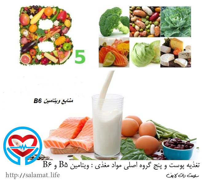 ویتامین B5 و B6 | سلامت دات لایف راهنمای زندگی سالم