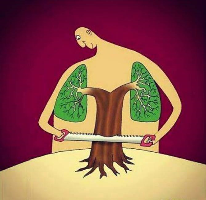 کاریکاتور از بین بردن ریه ها و طبیعت