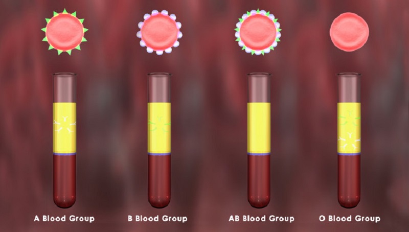 گروه های خونی متفاوت