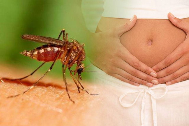 درمان و پیشگیری ویروس زیکا در بارداری