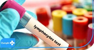 Lymphocytes چیست